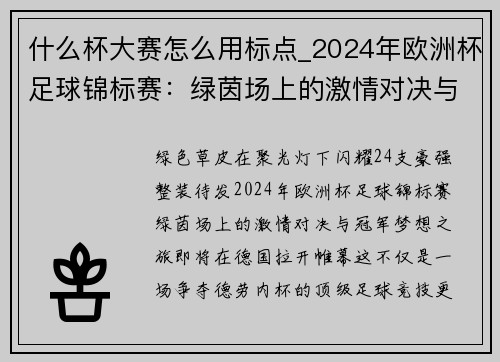 什么杯大赛怎么用标点_2024年欧洲杯足球锦标赛：绿茵场上的激情对决与冠军梦想之旅